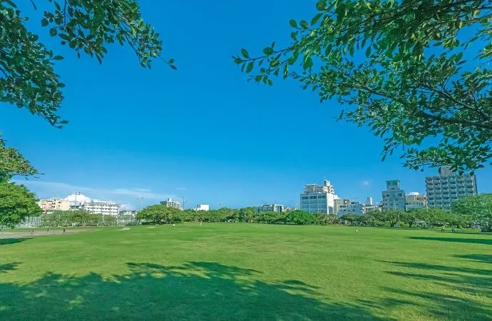 新都心公园威斯汀大衣安里站彩住宅区
