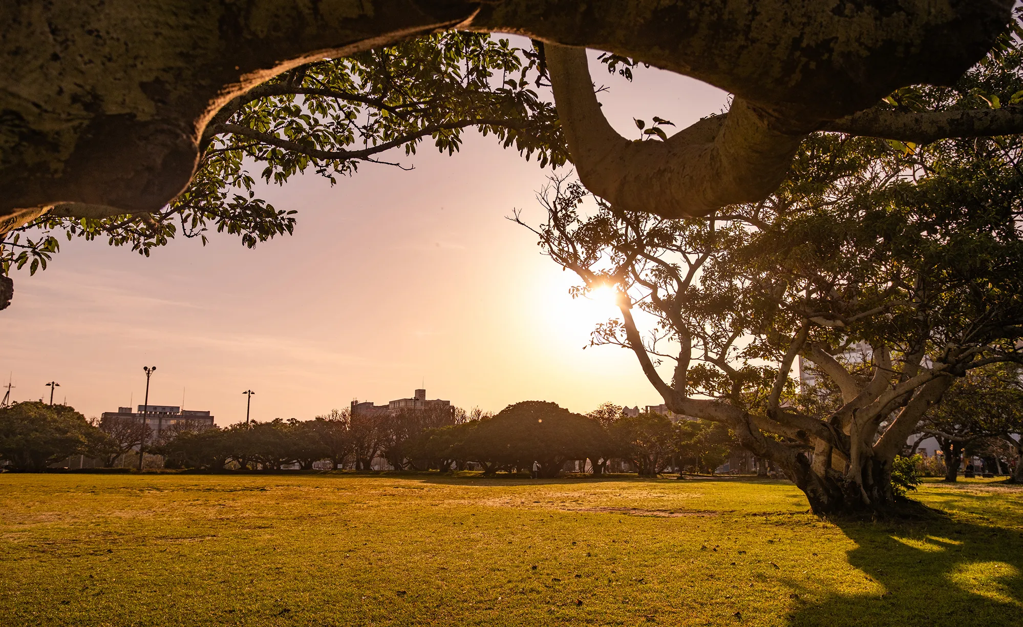 T加拉利亚冲绳by DFS怀斯艾斯泰姆大衣美食公园广场