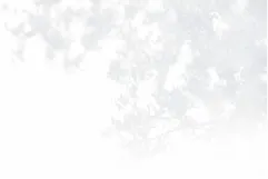 木|怀斯埃斯特姆广场公园广场